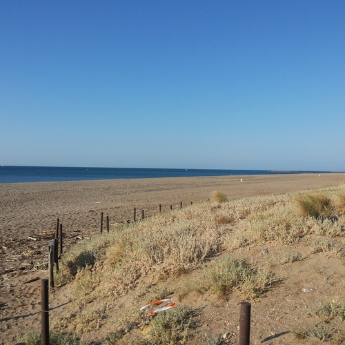 Urlaub Frankreich 2015 (7)